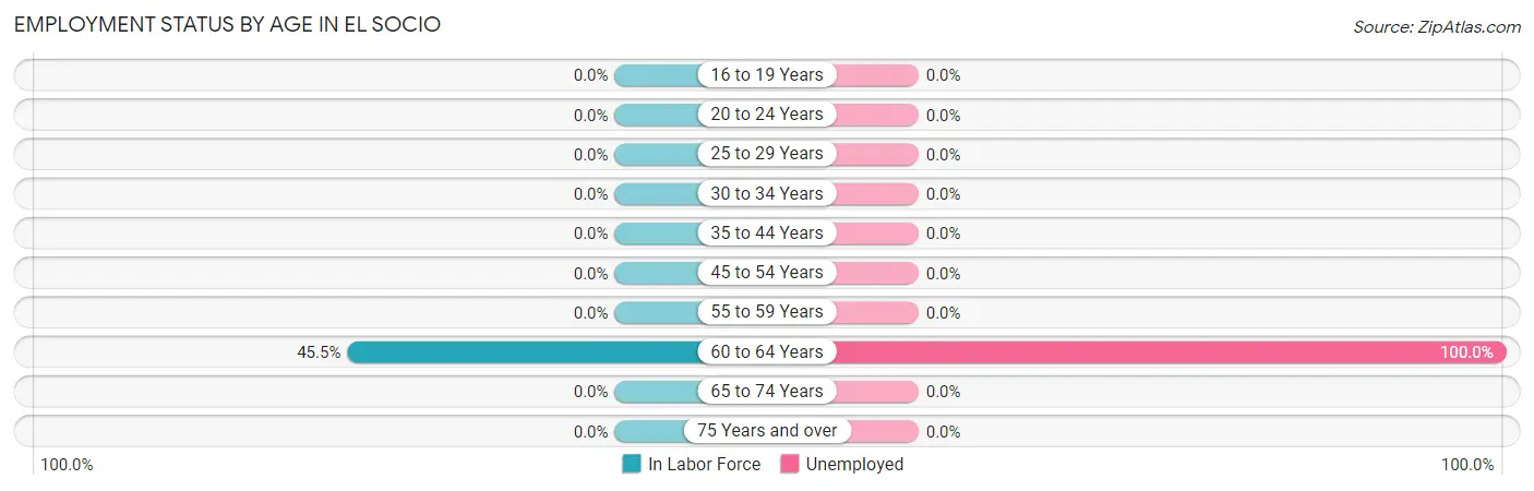 Employment Status by Age in El Socio