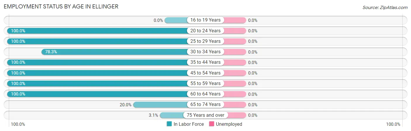 Employment Status by Age in Ellinger