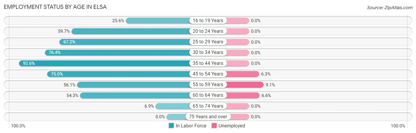 Employment Status by Age in Elsa