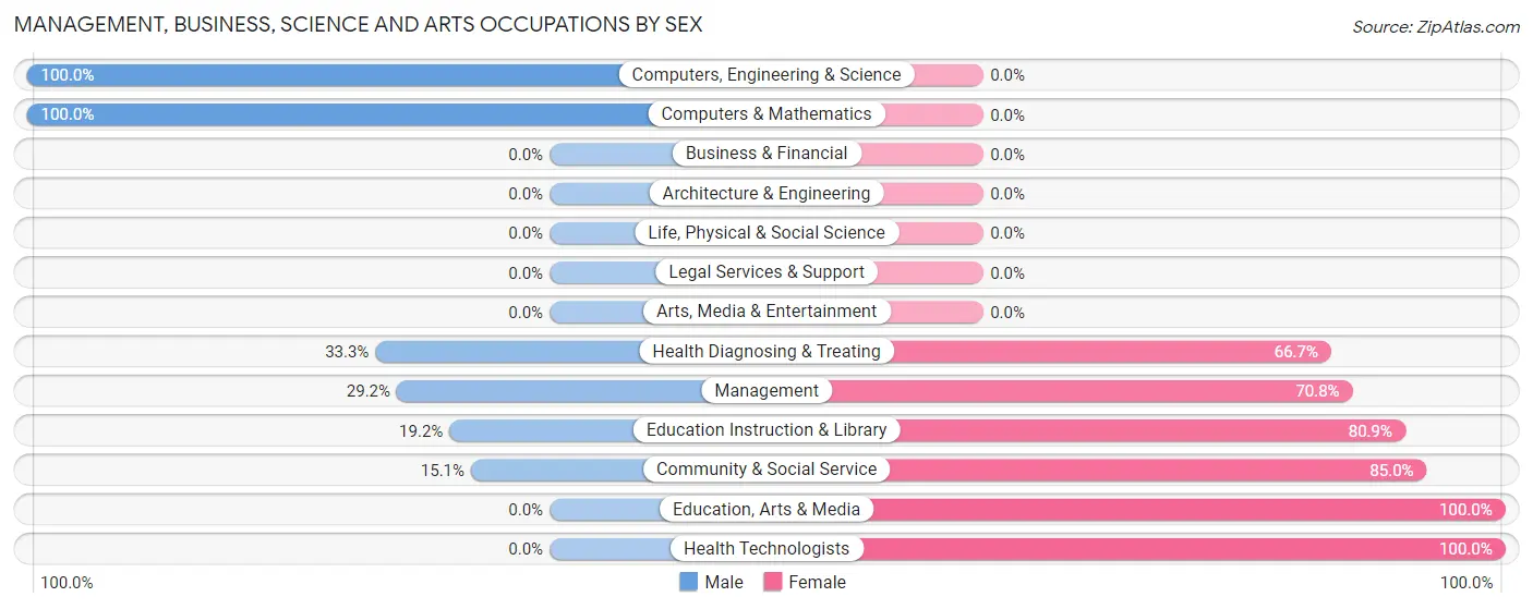 Management, Business, Science and Arts Occupations by Sex in Elsa