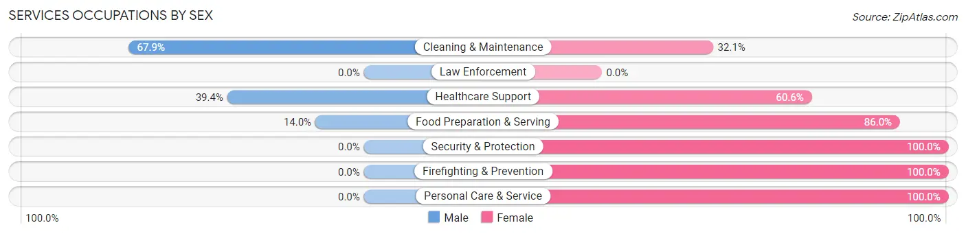 Services Occupations by Sex in Elsa