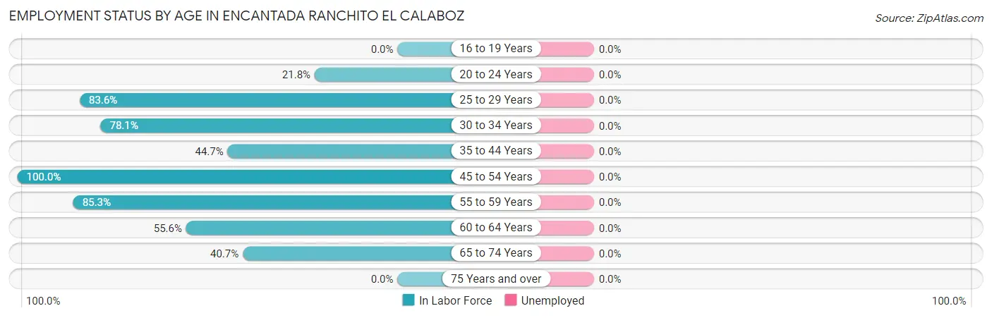 Employment Status by Age in Encantada Ranchito El Calaboz