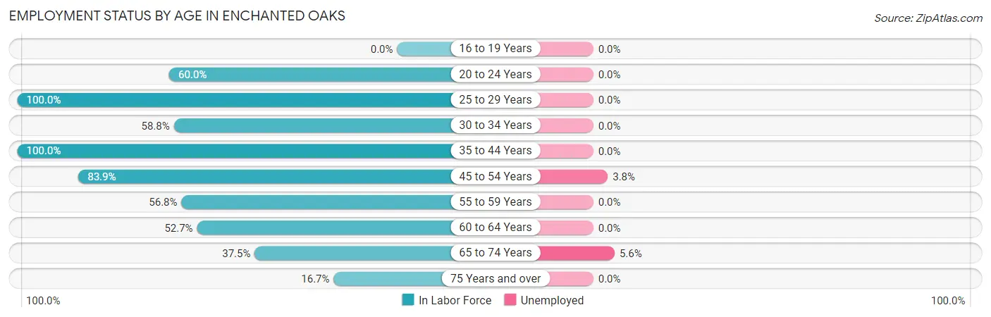 Employment Status by Age in Enchanted Oaks