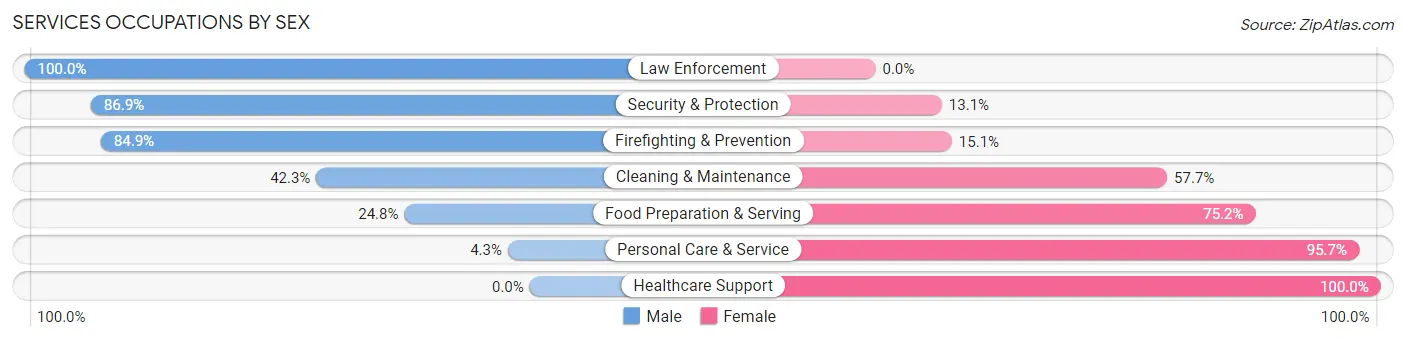 Services Occupations by Sex in Ennis