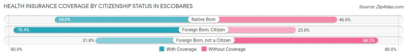 Health Insurance Coverage by Citizenship Status in Escobares