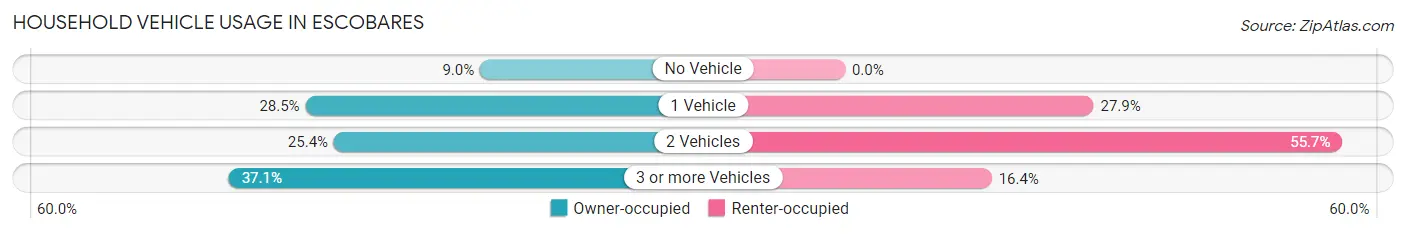 Household Vehicle Usage in Escobares