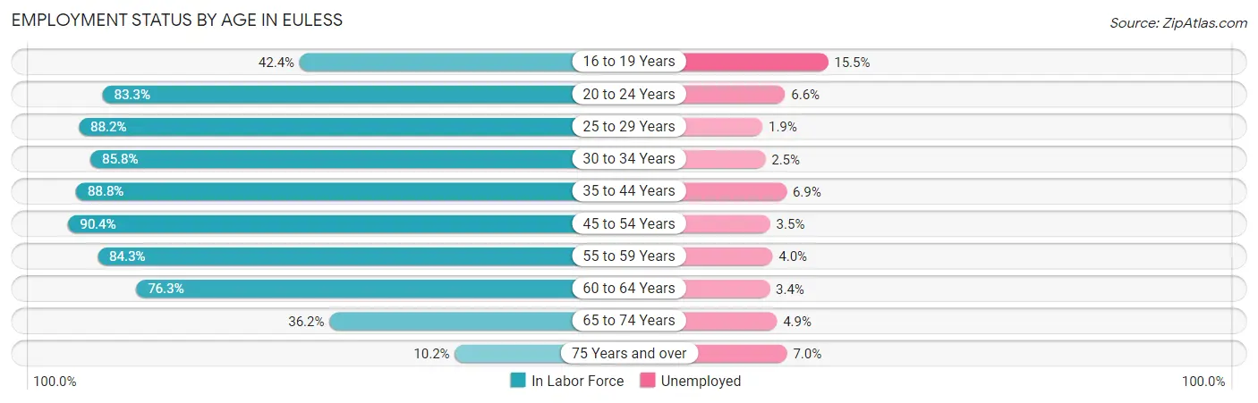 Employment Status by Age in Euless