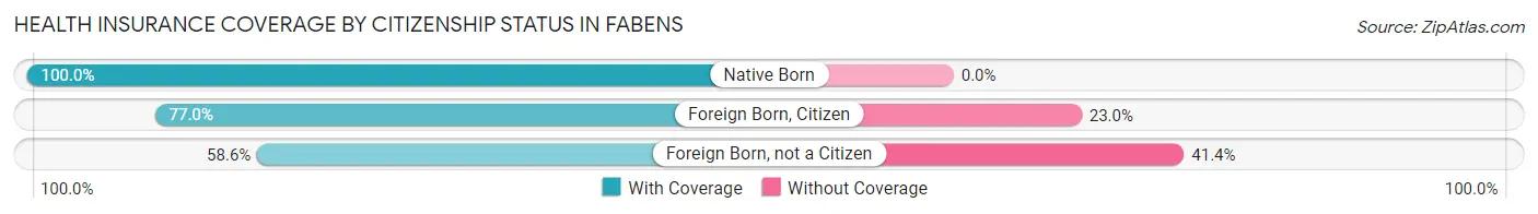 Health Insurance Coverage by Citizenship Status in Fabens