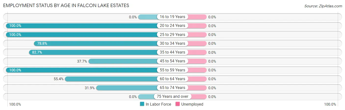 Employment Status by Age in Falcon Lake Estates