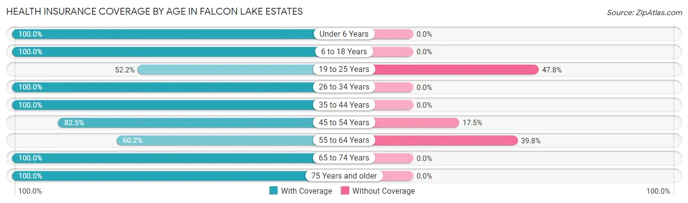 Health Insurance Coverage by Age in Falcon Lake Estates
