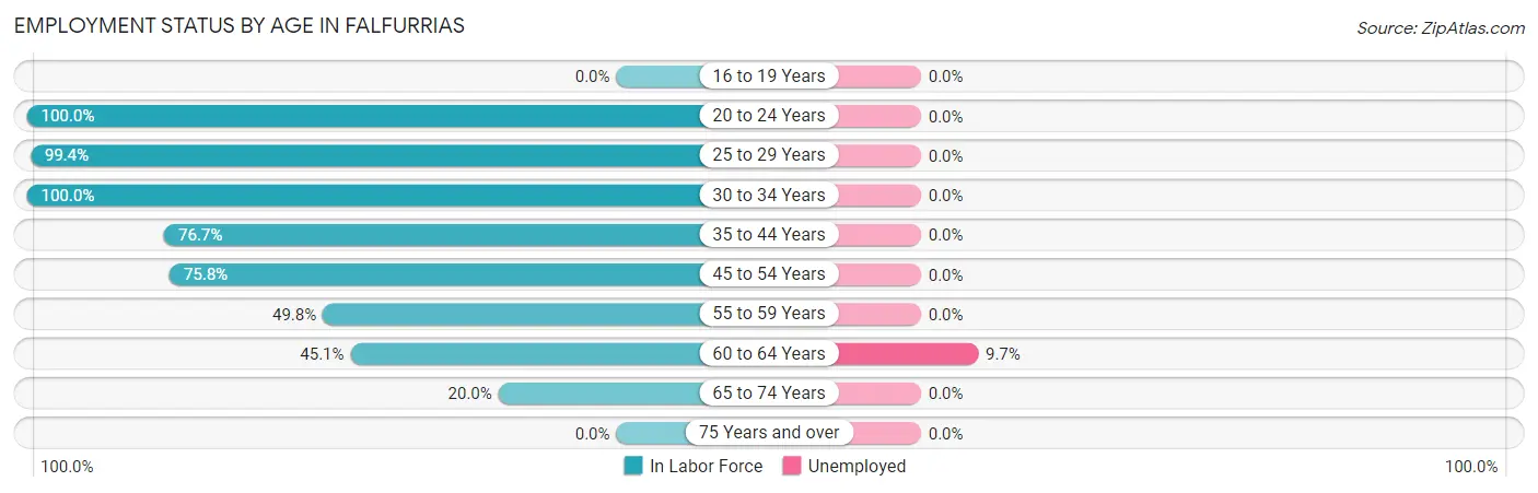 Employment Status by Age in Falfurrias
