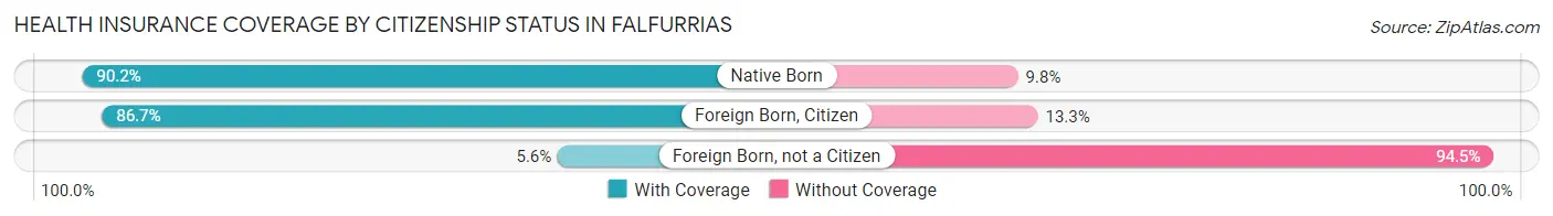 Health Insurance Coverage by Citizenship Status in Falfurrias