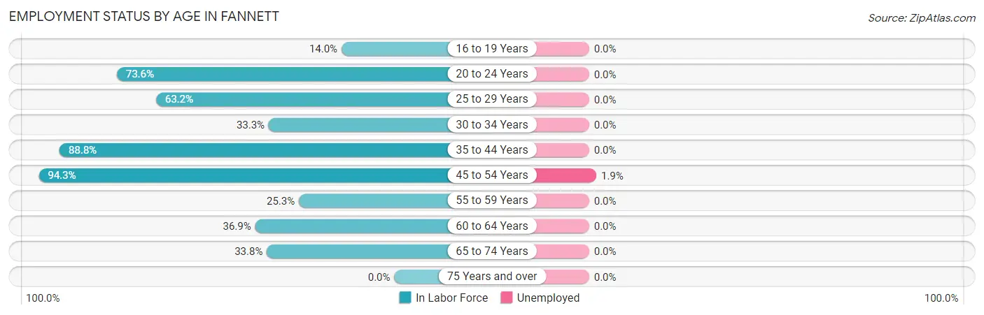 Employment Status by Age in Fannett