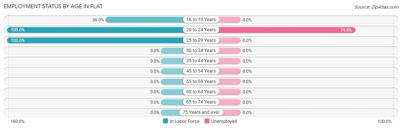 Employment Status by Age in Flat