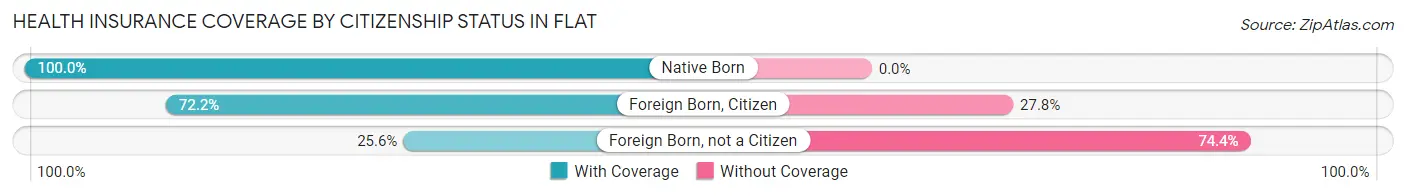 Health Insurance Coverage by Citizenship Status in Flat