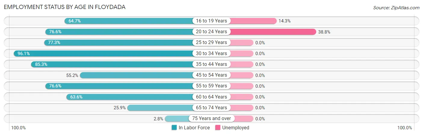 Employment Status by Age in Floydada