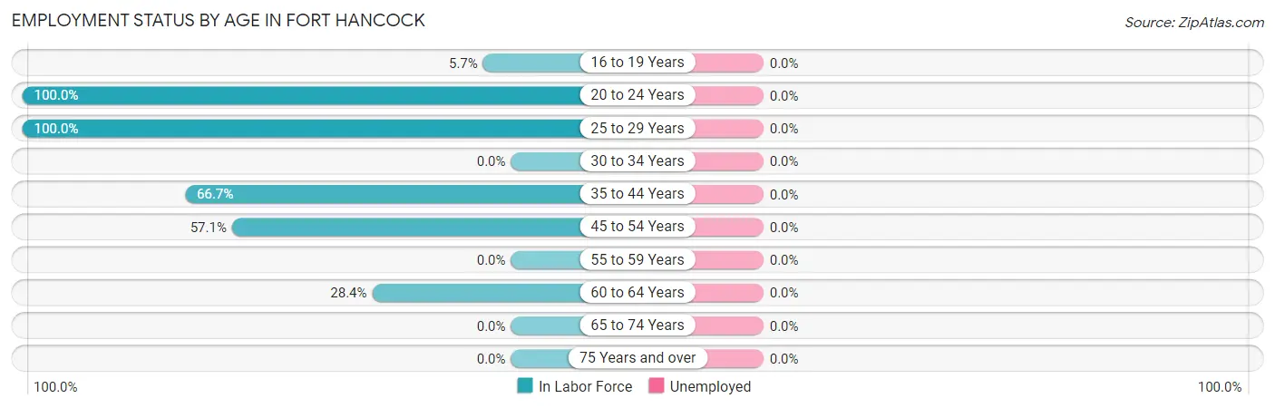 Employment Status by Age in Fort Hancock