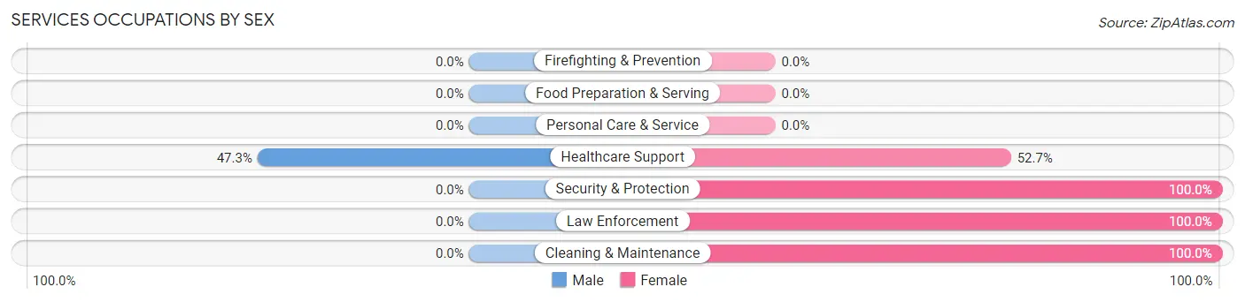 Services Occupations by Sex in Fort Hancock