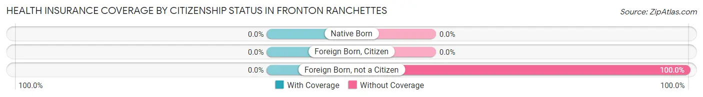 Health Insurance Coverage by Citizenship Status in Fronton Ranchettes