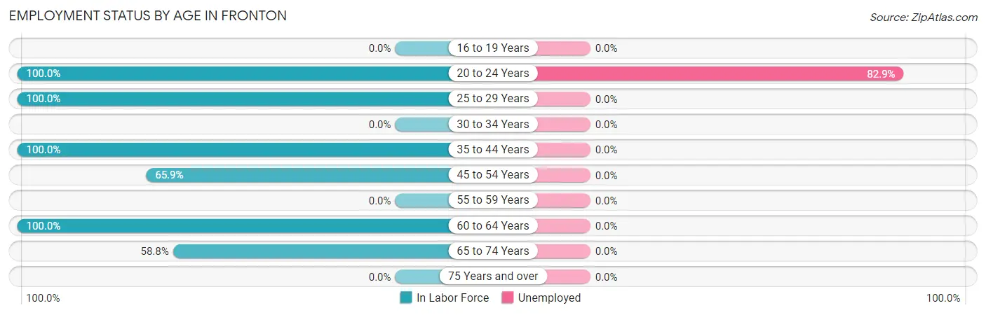 Employment Status by Age in Fronton
