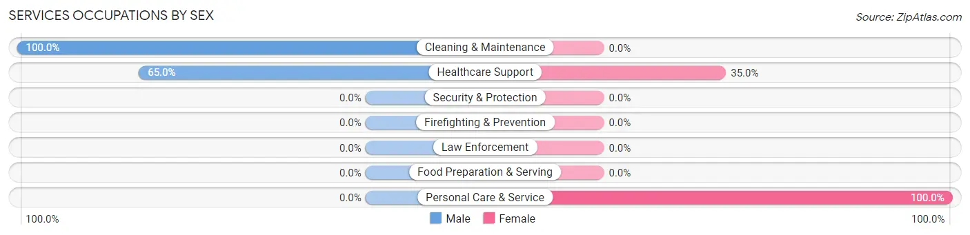 Services Occupations by Sex in Fronton