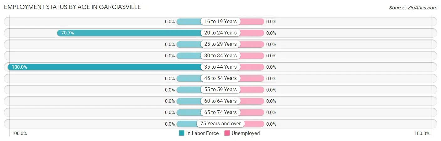 Employment Status by Age in Garciasville