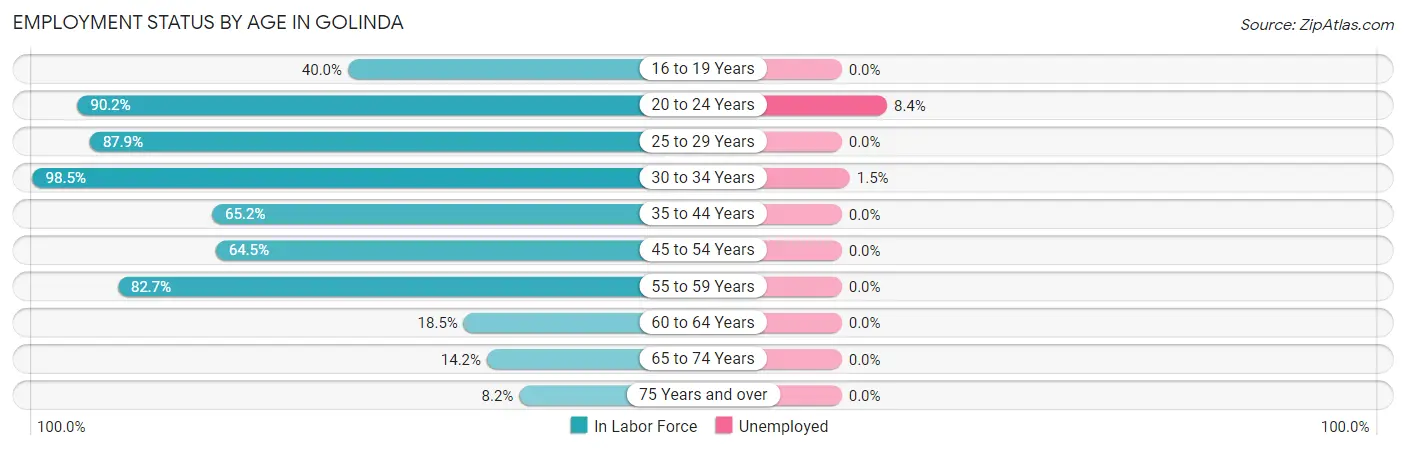Employment Status by Age in Golinda