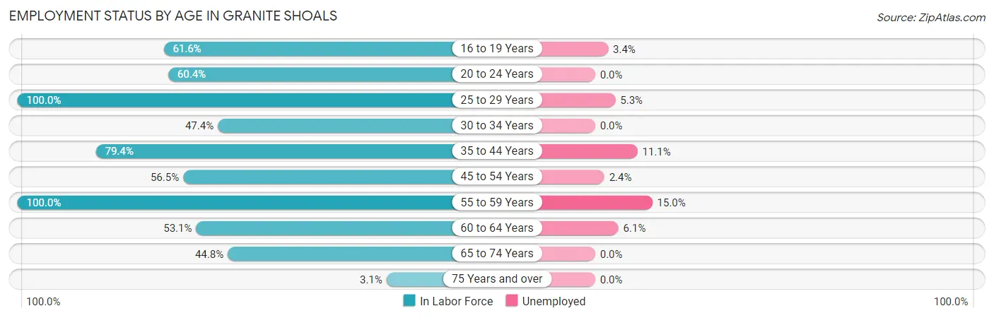 Employment Status by Age in Granite Shoals