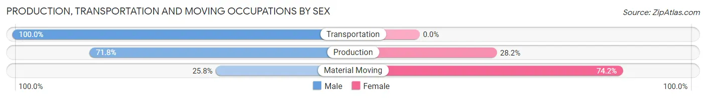 Production, Transportation and Moving Occupations by Sex in Groesbeck