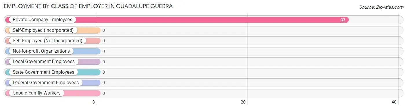 Employment by Class of Employer in Guadalupe Guerra