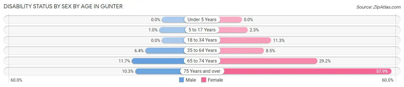 Disability Status by Sex by Age in Gunter
