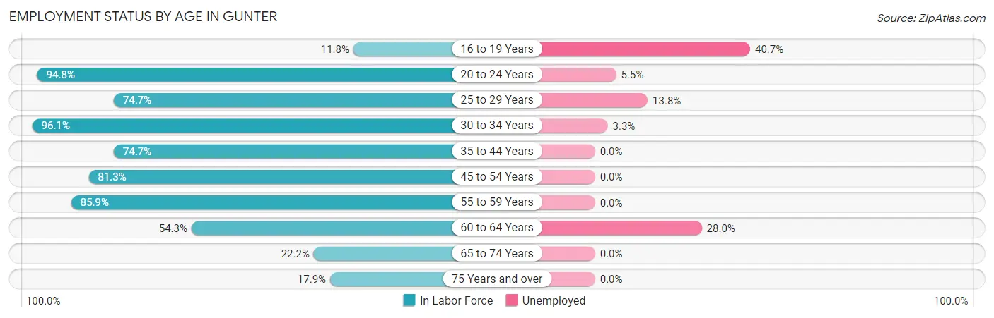 Employment Status by Age in Gunter