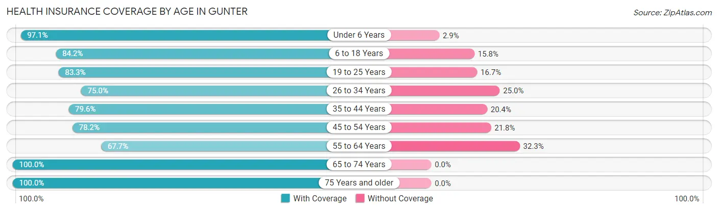 Health Insurance Coverage by Age in Gunter