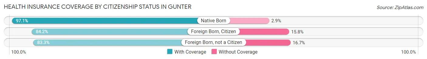 Health Insurance Coverage by Citizenship Status in Gunter