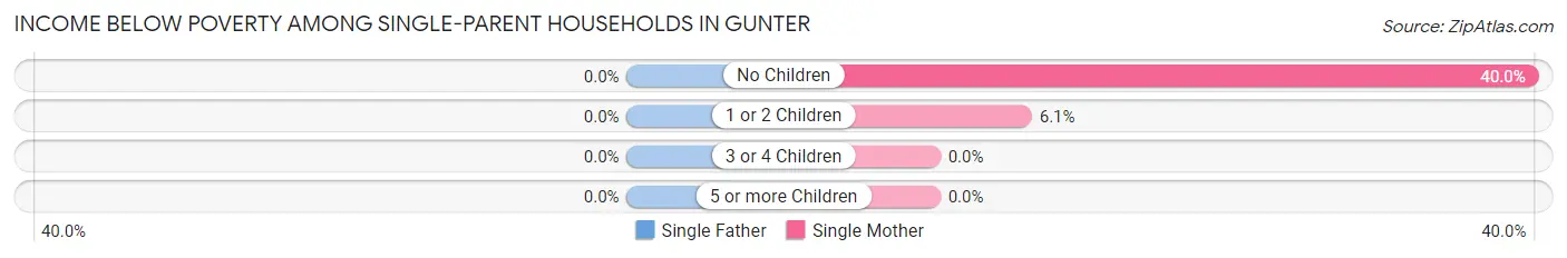 Income Below Poverty Among Single-Parent Households in Gunter