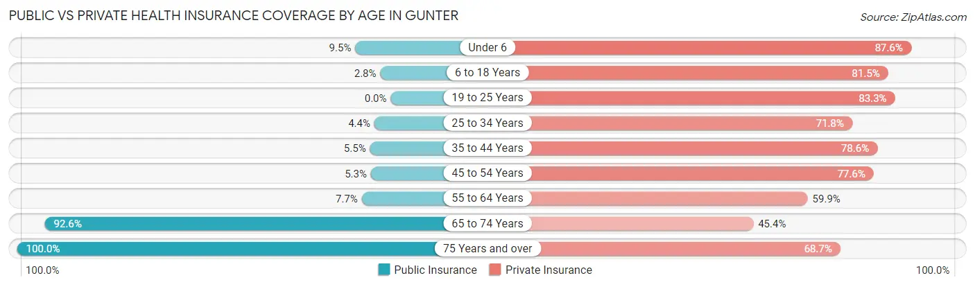 Public vs Private Health Insurance Coverage by Age in Gunter