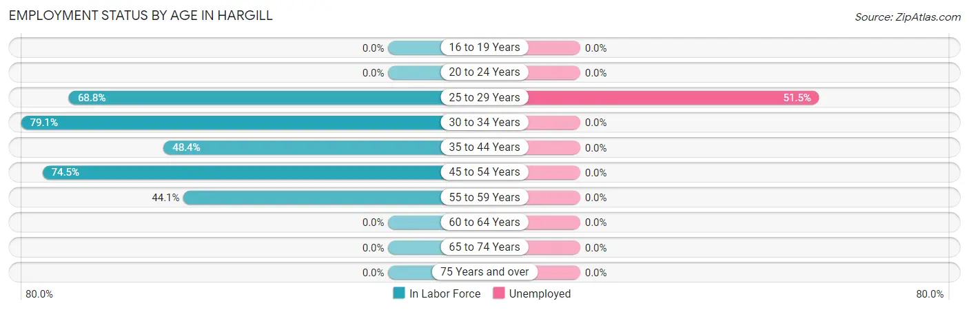 Employment Status by Age in Hargill