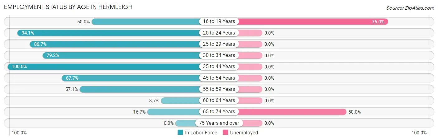 Employment Status by Age in Hermleigh