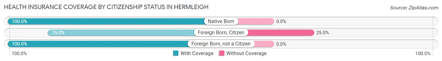 Health Insurance Coverage by Citizenship Status in Hermleigh