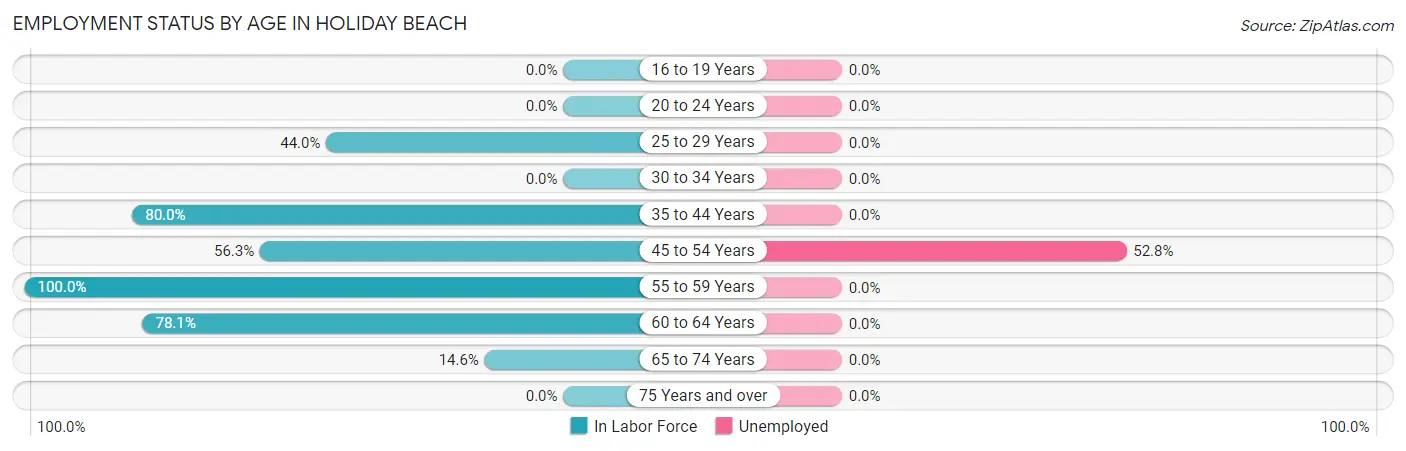 Employment Status by Age in Holiday Beach