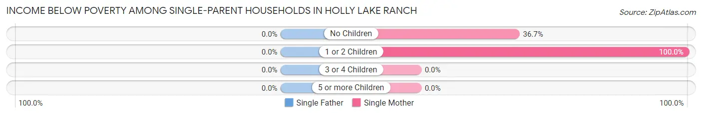Income Below Poverty Among Single-Parent Households in Holly Lake Ranch