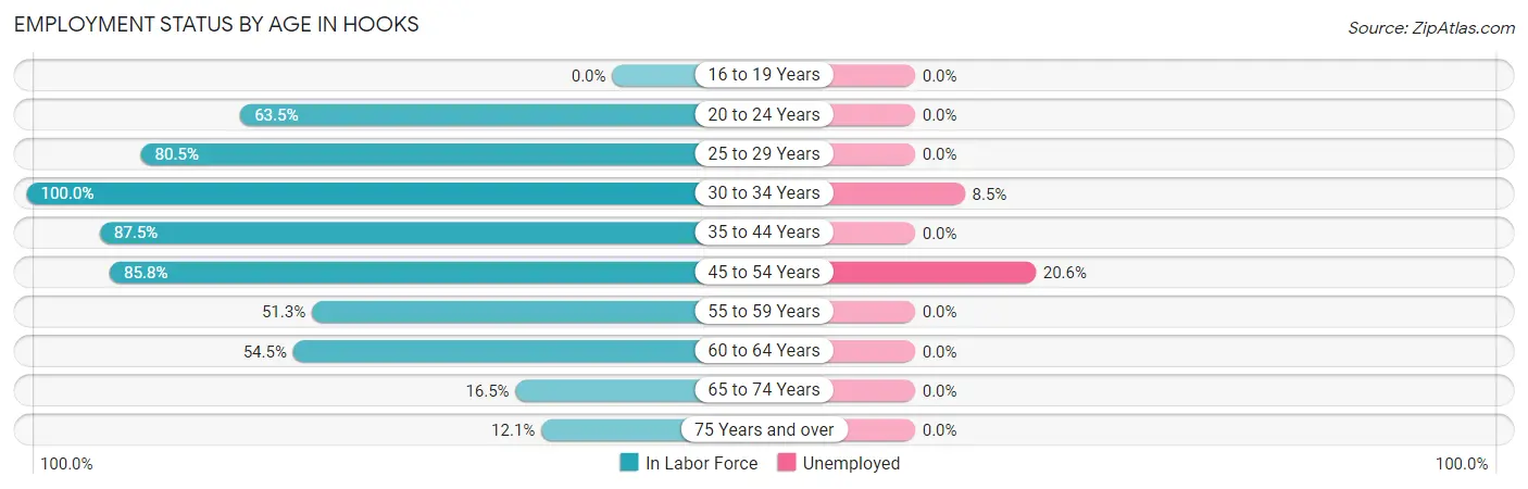 Employment Status by Age in Hooks