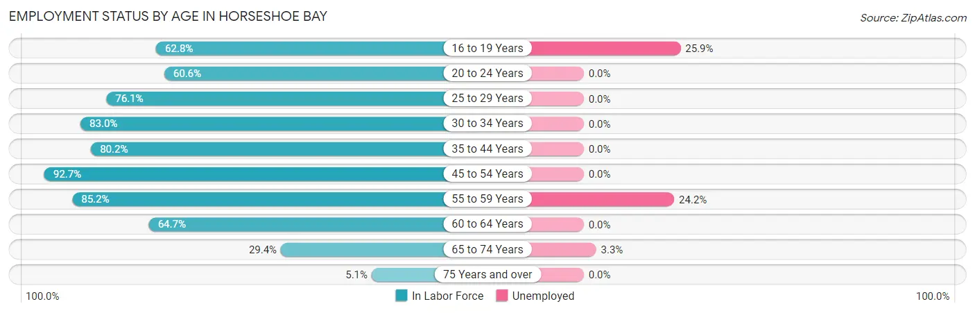 Employment Status by Age in Horseshoe Bay