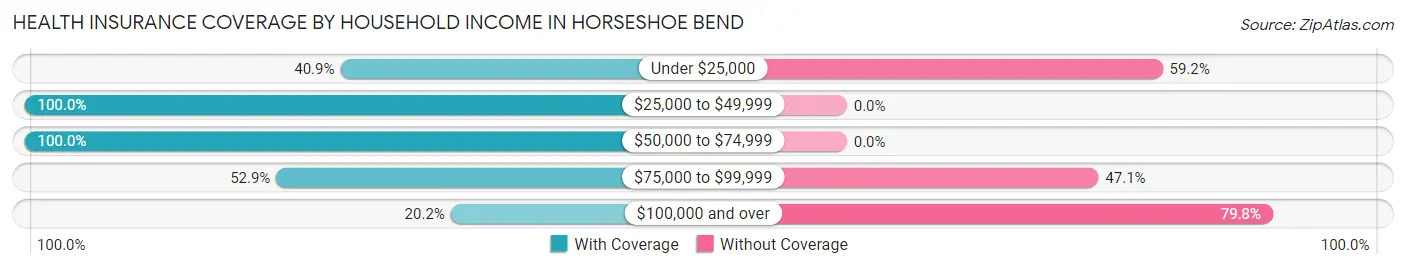 Health Insurance Coverage by Household Income in Horseshoe Bend