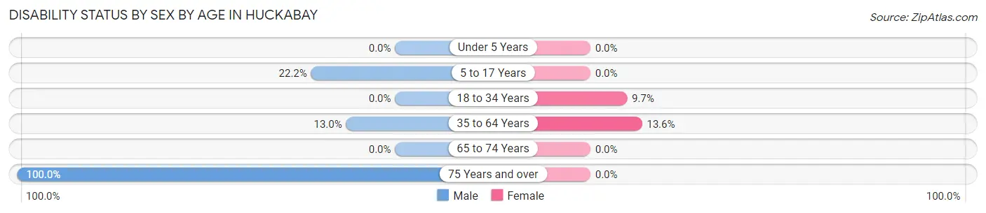 Disability Status by Sex by Age in Huckabay