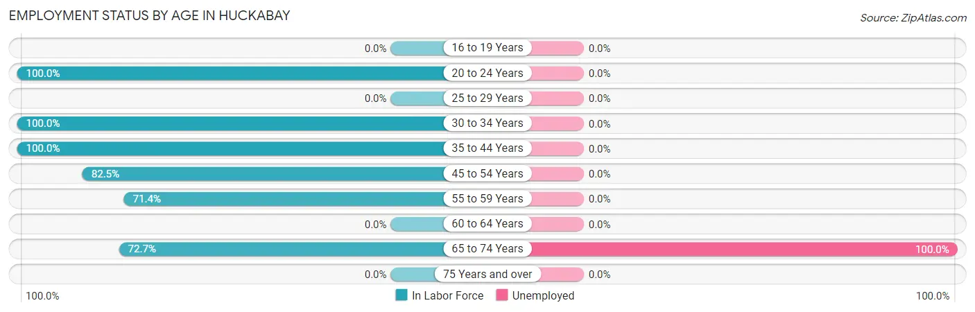 Employment Status by Age in Huckabay