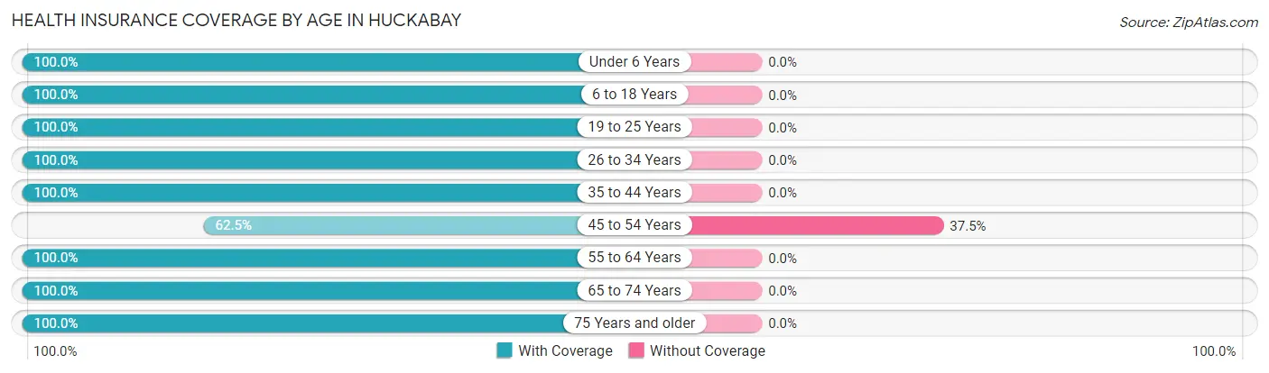 Health Insurance Coverage by Age in Huckabay