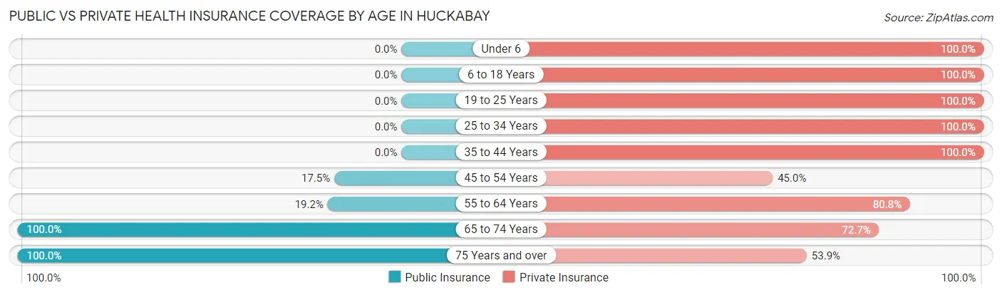 Public vs Private Health Insurance Coverage by Age in Huckabay