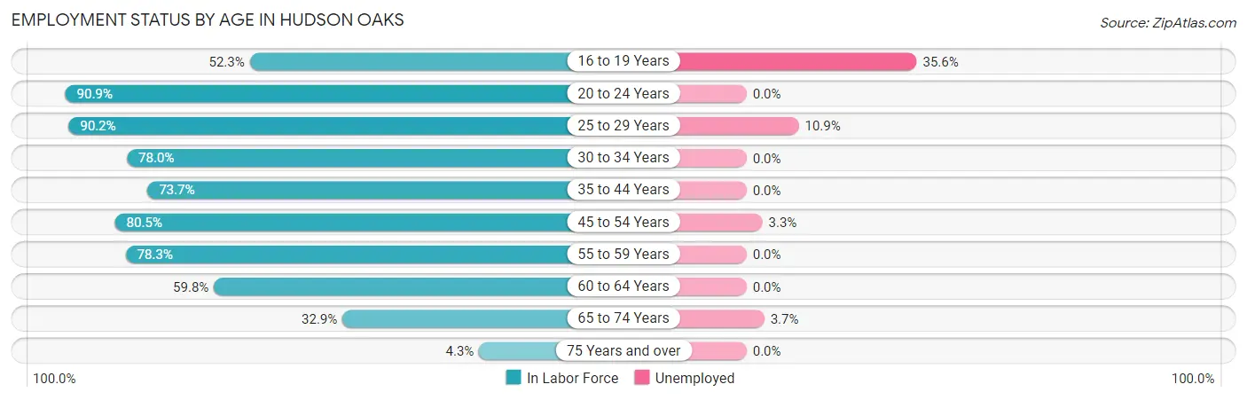 Employment Status by Age in Hudson Oaks