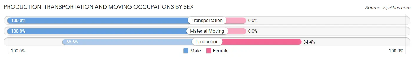 Production, Transportation and Moving Occupations by Sex in Hudson Oaks